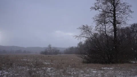Snowfall against the landscape Stock Footage 302014492