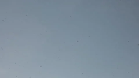 Snowfall against the sky in slow motion looks like ash Stock Footage 167549957