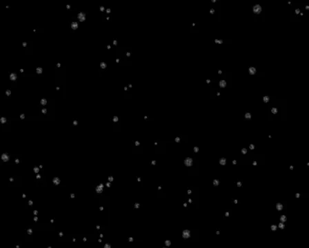 Snowfall alpha channel Stock Footage 976318