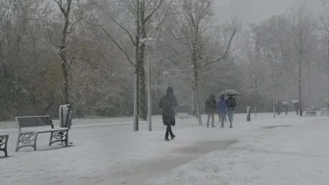Snowfall in Amsterdam 스톡 동영상 83982864