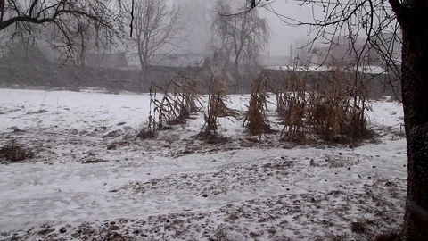 Snowfall and the beginning of winter, the holiday of the new year Video stock 109047253