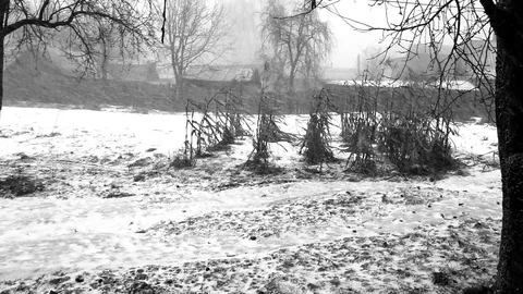 Snowfall and the beginning of winter, the holiday of the new year Stock Footage 109169000