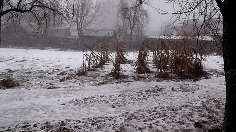 Snowfall and the beginning of winter, the holiday of the new year Video stock 109169016
