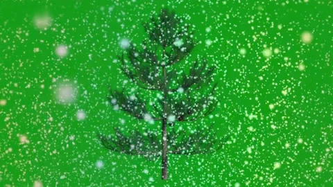 Snowfall and christmas tree motion graphics with green screen background Stock Footage 138074439