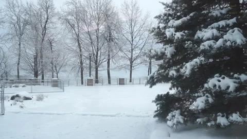 Snowfall and Empty Garden Stock Footage 296547978