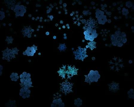 Snowfall and fireworks (2009) Stock Footage 294080