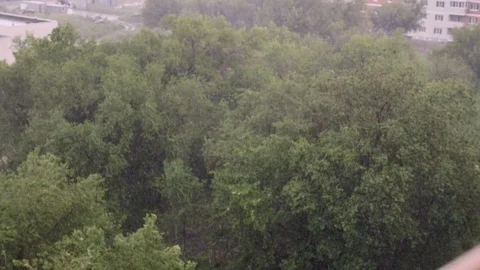 Snowfall and heavy rain in summer. In background are green trees, grass, path. Stock Footage 111468662