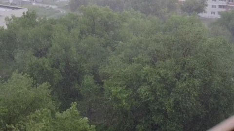 Snowfall and heavy rain in summer. In background are green trees, grass, path. Stock Footage 111469408