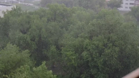 Snowfall and heavy rain in summer. In background are green trees, grass, path. Stock Footage 111469497