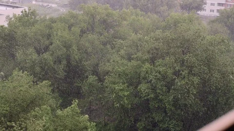 Snowfall and heavy rain in summer. In background are green trees, grass, path. Stock Footage 111469549
