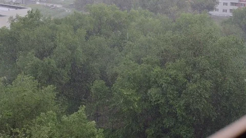 Snowfall and heavy rain in summer. In background are green trees, grass, path. Stock Footage 111469597