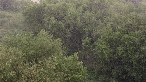 Snowfall and heavy rain in summer. In background are green trees, grass, path. Stock Footage 111469677