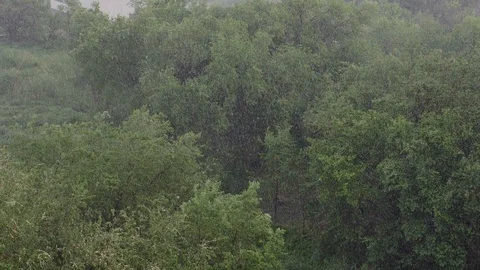 Snowfall and heavy rain in summer. In background are green trees, grass, path. Stock Footage 111469792