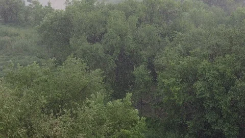 Snowfall and heavy rain in summer. In background are green trees, grass, path. Stock Footage 111469882