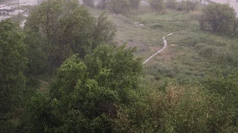 Snowfall and heavy rain in summer. In background are green trees, grass, path. Stock Footage 111470033