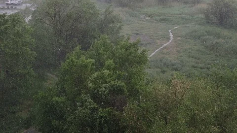 Snowfall and heavy rain in summer. In background are green trees, grass, path. Stock Footage 111470093