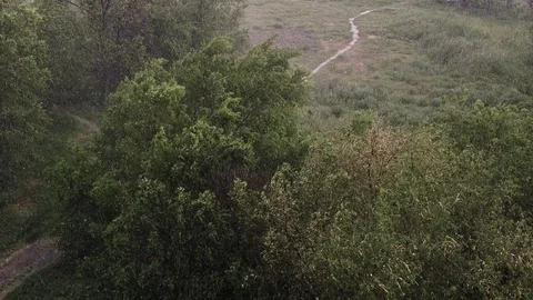 Snowfall and heavy rain in summer. In background are green trees, grass, path. Stock Footage 111470149