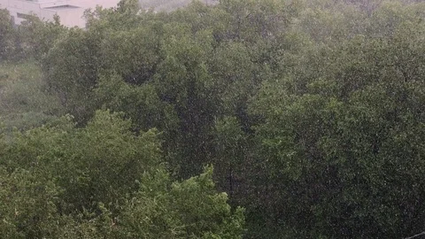 Snowfall and heavy rain in summer. In background are green trees, grass, path. Stock Footage 111470202
