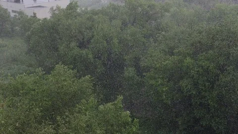 Snowfall and heavy rain in summer. In background are green trees, grass, path. Stock Footage 111470298