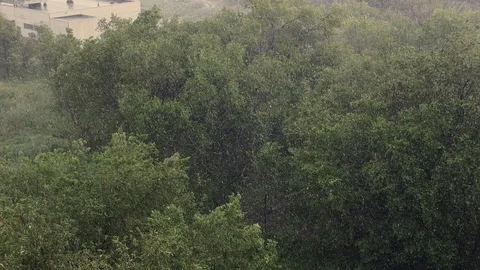 Snowfall and heavy rain in summer. In background are green trees, grass, path. Stock Footage 111470353