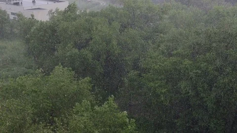 Snowfall and heavy rain in summer. In background are green trees, grass, path. Stock Footage 111470419