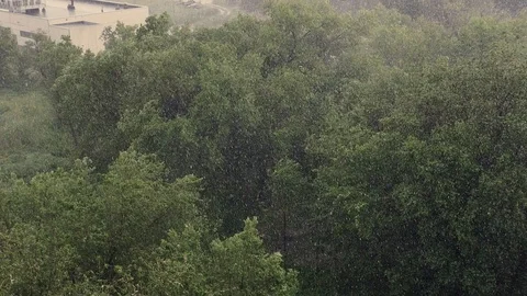Snowfall and heavy rain in summer. In background are green trees, grass, path. Stock Footage 111470464