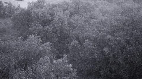 Snowfall and heavy rain in summer. In background are green trees, grass, path. Stock Footage 111470519