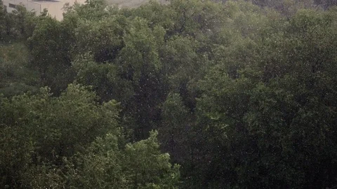 Snowfall and heavy rain in summer. In background are green trees, grass, path. Stock Footage 111470548
