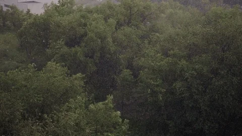 Snowfall and heavy rain in summer. In background are green trees, grass, path. Stock Footage 111470607