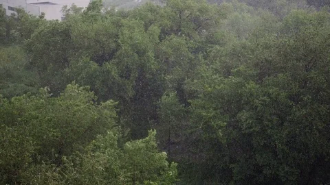 Snowfall and heavy rain in summer. In background are green trees, grass, path. Stock Footage 111470691