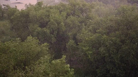 Snowfall and heavy rain in summer. In background are green trees, grass, path. Stock Footage 111470761