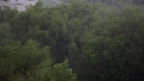 Snowfall and heavy rain in summer. In background are green trees, grass, path. Stock Footage 111470819