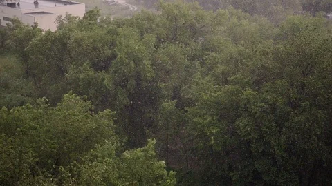 Snowfall and heavy rain in summer. In background are green trees, grass, path. Stock Footage 111470936