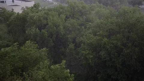 Snowfall and heavy rain in summer. In background are green trees, grass, path. Stock Footage 111471001