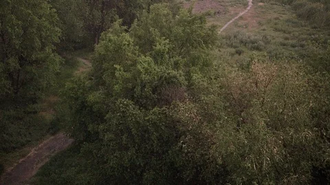 Snowfall and heavy rain in summer. In background are green trees, grass, path. Stock Footage 111471143