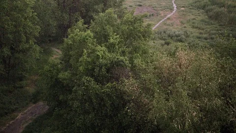 Snowfall and heavy rain in summer. In background are green trees, grass, path. Stock Footage 111471184