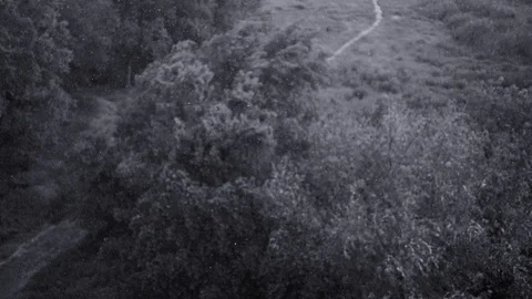 Snowfall and heavy rain in summer. In background are green trees, grass, path. Stock Footage 111471380