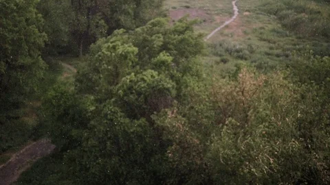 Snowfall and heavy rain in summer. In background are green trees, grass, path. Stock Footage 111471483