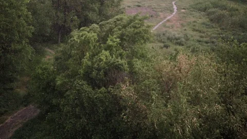 Snowfall and heavy rain in summer. In background are green trees, grass, path. Stock Footage 111471561