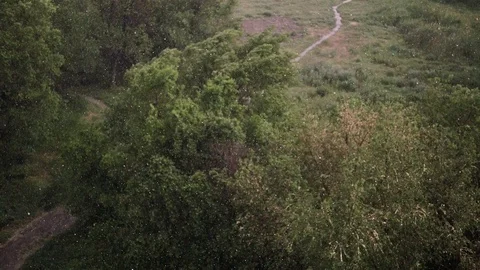 Snowfall and heavy rain in summer. In background are green trees, grass, path. Stock Footage 111471628