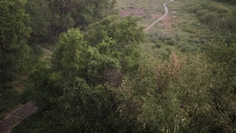 Snowfall and heavy rain in summer. In background are green trees, grass, path. Stock Footage 111471675