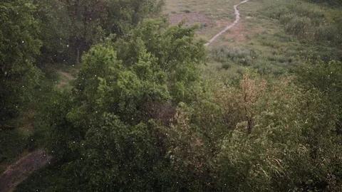 Snowfall and heavy rain in summer. In background are green trees, grass, path. Stock Footage 111471835
