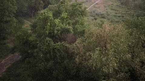 Snowfall and heavy rain in summer. In background are green trees, grass, path. Stock Footage 111471926