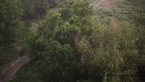 Snowfall and heavy rain in summer. In background are green trees, grass, path. Stock Footage 111472065