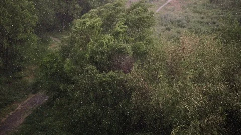 Snowfall and heavy rain in summer. In background are green trees, grass, path. Stock Footage 111472116