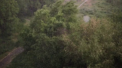 Snowfall and heavy rain in summer. In background are green trees, grass, path. Stock Footage 111472157