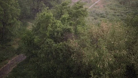 Snowfall and heavy rain in summer. In background are green trees, grass, path. Stock Footage 111472361