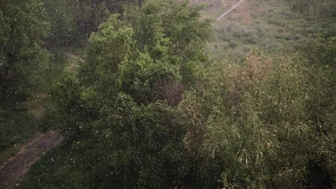 Snowfall and heavy rain in summer. In background are green trees, grass, path. Stock Footage 111472460