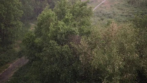 Snowfall and heavy rain in summer. In background are green trees, grass, path. Stock Footage 111472519