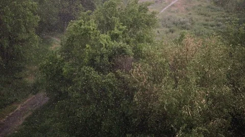 Snowfall and heavy rain in summer. In background are green trees, grass, path. Stock Footage 111472646